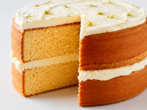 Sponge